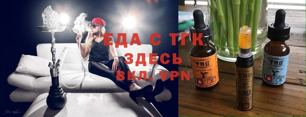 индика Мегион