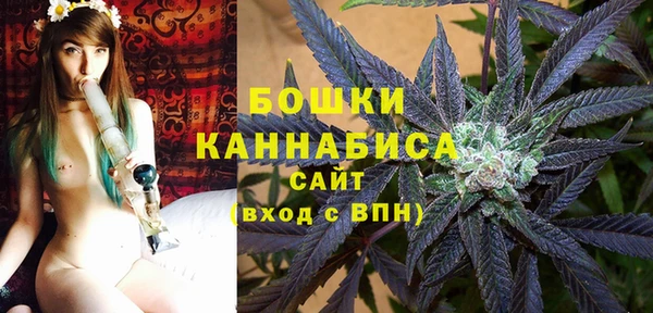 СК Вязьма