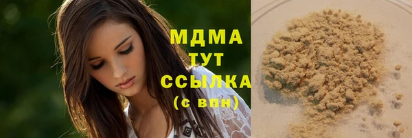 индика Мегион