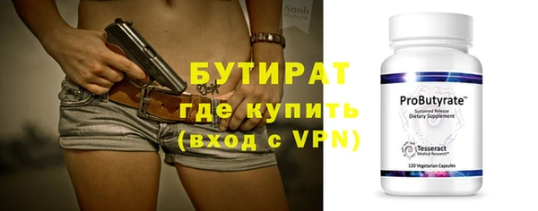 индика Мегион