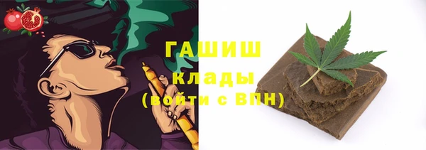 индика Мегион
