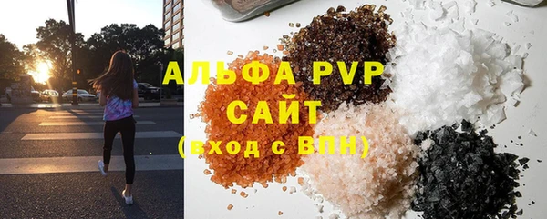 индика Мегион