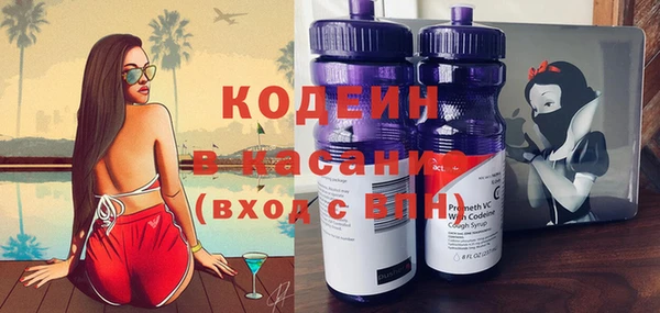 индика Мегион